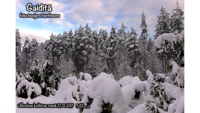 Fotoizstāde “Gaidītā”